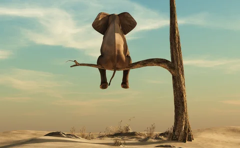 balance
